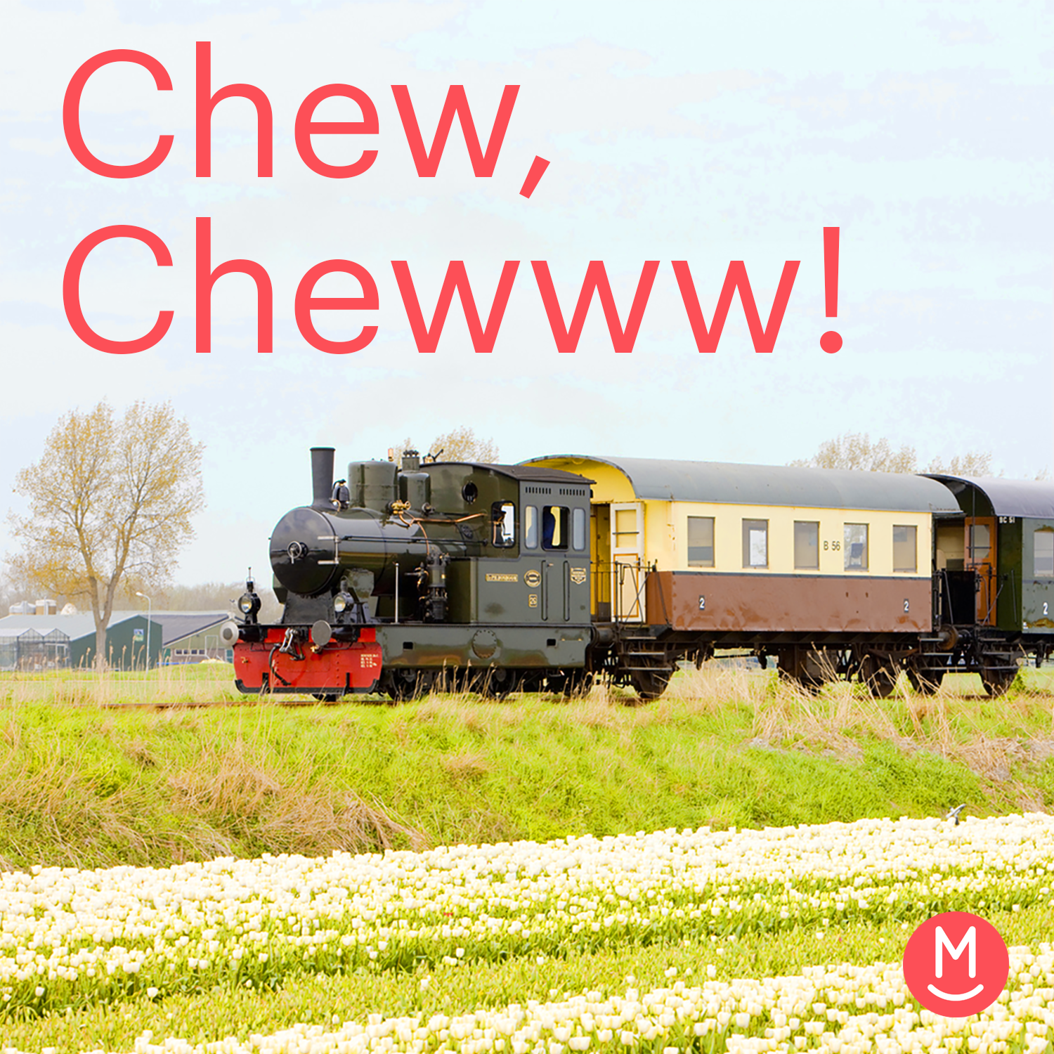 6. It's not an airplane—it's a train! 6. It's not an airplane—it's a train!