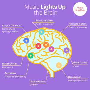 Music Lights Up the Brain
