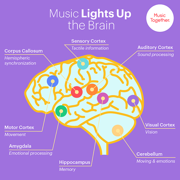 Learning Through Music: The Support of Brain Research